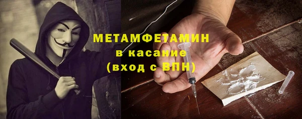 индика Новодвинск