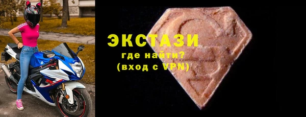 индика Новодвинск