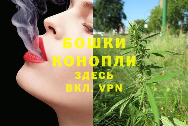 эйфоретик Новокубанск