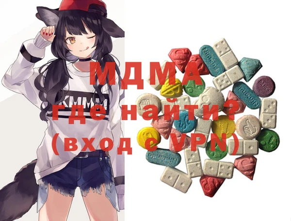 индика Новодвинск