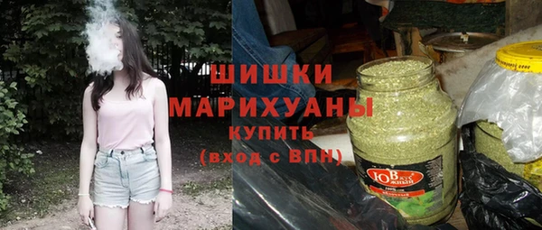 индика Новодвинск
