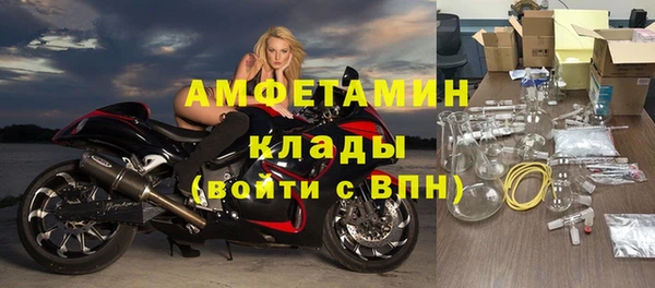 винт Алзамай