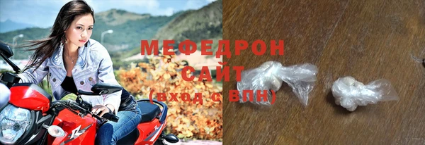 индика Новодвинск