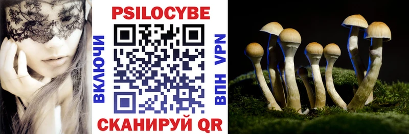 Галлюциногенные грибы Psilocybe  Асбест 